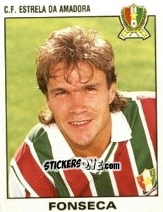 Figurina Fonseca - Futebol 1993-1994 n. 291 - Panini
