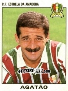 Figurina Agatão - Futebol 1993-1994 n. 292 - Panini