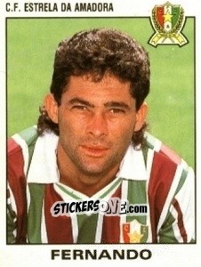 Figurina Fernando - Futebol 1993-1994 n. 302 - Panini