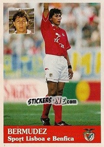 Cromo Bermudez - Futebol 1996-1997 - Panini