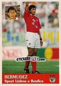 Sticker Bermudez - Futebol 1996-1997 n. 30 - Panini