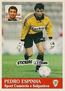 Sticker Pedro Espinha - Futebol 1996-1997 n. 177 - Panini