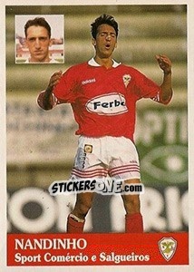 Sticker Nandinho - Futebol 1996-1997 n. 181 - Panini