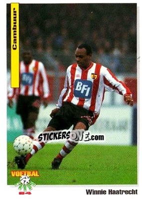 Sticker Winnie Haatrecht - Voetbal Cards 1993-1994 - Panini