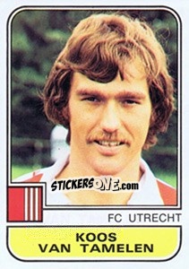 Sticker Koos van Tamelen - Voetbal 1981-1982 n. 321 - Panini