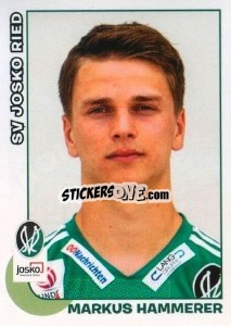 Figurina Markus Hammerer - Österreichische Fußball-Bundesliga 2012-2013 n. 161 - Panini