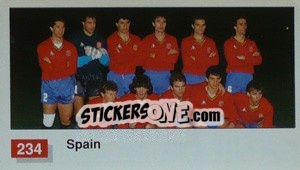 Cromo Spain Team Photo - World Cup Italia 1990 - Merlin