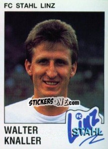 Figurina Walter Knaller - Österreichische Fußball-Bundesliga 1991-1992 n. 179 - Panini