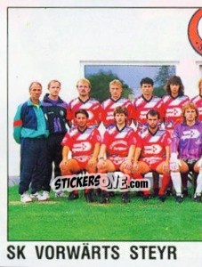 Figurina Team Photo - Österreichische Fußball-Bundesliga 1991-1992 n. 217 - Panini