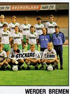 Sticker Team