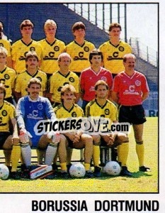 Sticker Team