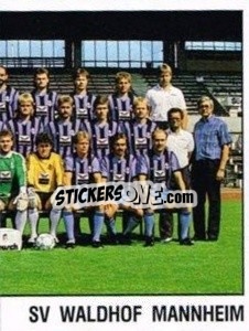 Sticker Team