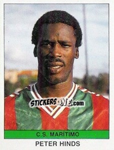 Sticker Peter Hinds - Futebol 1990-1991 n. 101 - Panini