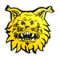 Ilves                                                                                               