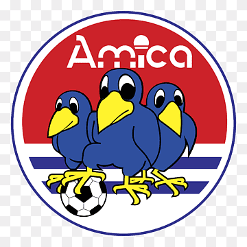 Amica Wronki                                                                                        