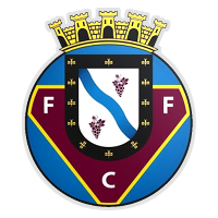 Fc Felgueiras                                                                                       