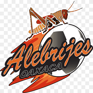 Alebrijes De Oaxaca                                                                                 