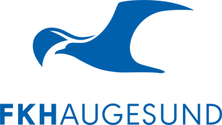 FK Haugesund                                                                                        